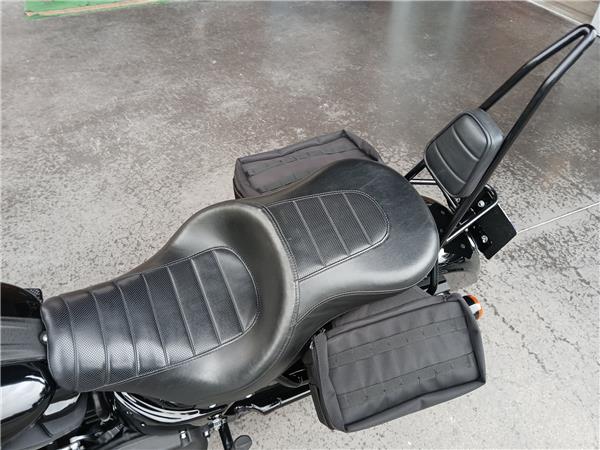 2021 HARLEY-DAVIDSON LOW RIDER