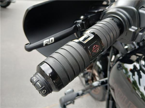 2021 HARLEY-DAVIDSON LOW RIDER