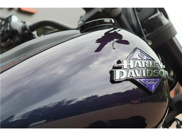 2025 HARLEY-DAVIDSON LOW RIDER S