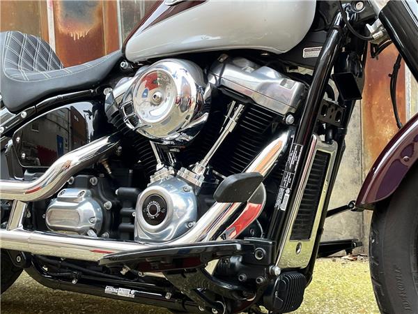 2021 Harley-Davidson Softail