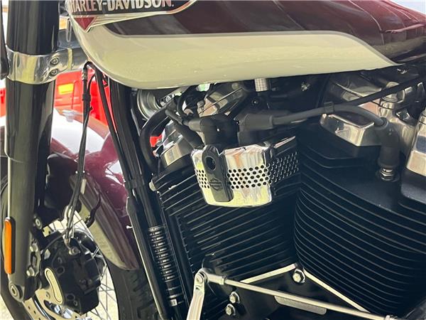 2021 Harley-Davidson Softail