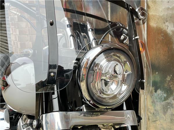 2021 Harley-Davidson Softail