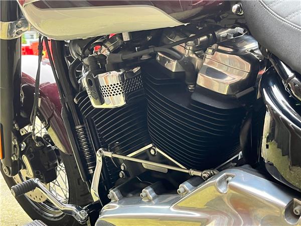 2021 Harley-Davidson Softail