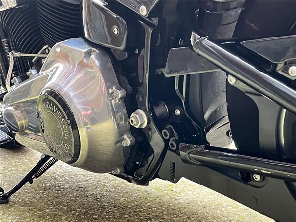 2021 Harley-Davidson Softail