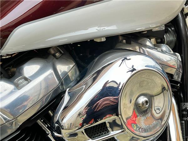 2021 Harley-Davidson Softail