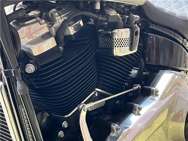 2021 Harley-Davidson Softail