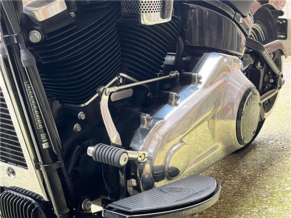 2021 Harley-Davidson Softail