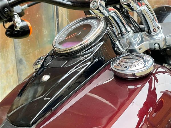 2021 Harley-Davidson Softail