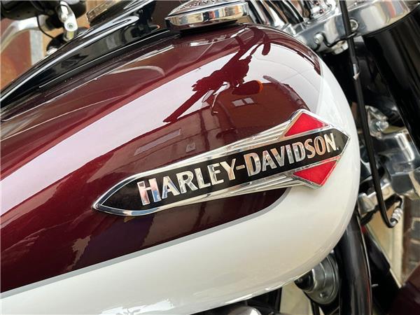 2021 Harley-Davidson Softail