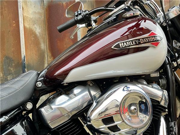 2021 Harley-Davidson Softail
