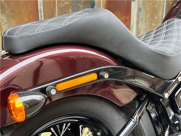 2021 Harley-Davidson Softail