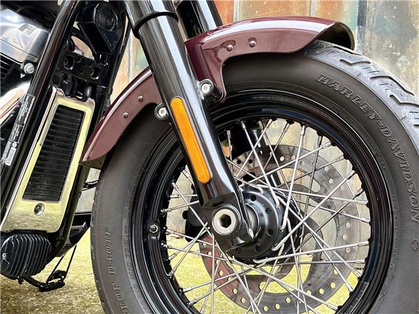 2021 Harley-Davidson Softail