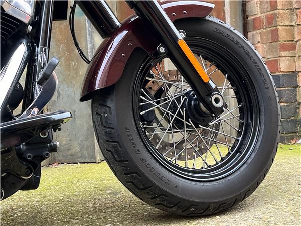 2021 Harley-Davidson Softail