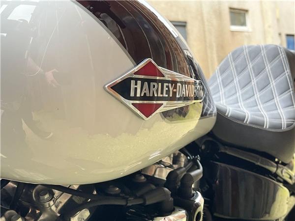 2021 Harley-Davidson Softail