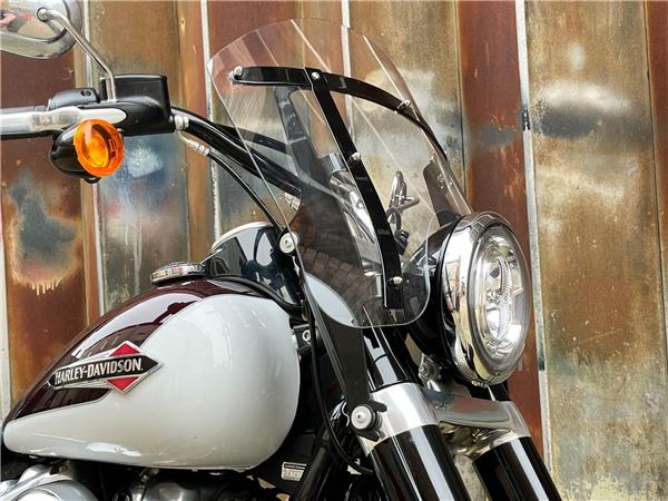 2021 Harley-Davidson Softail