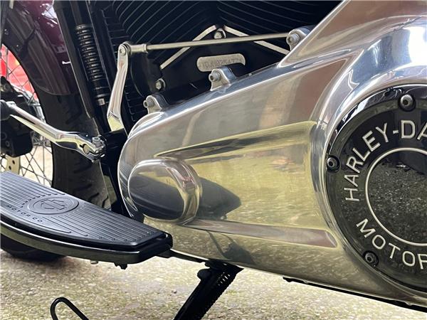 2021 Harley-Davidson Softail