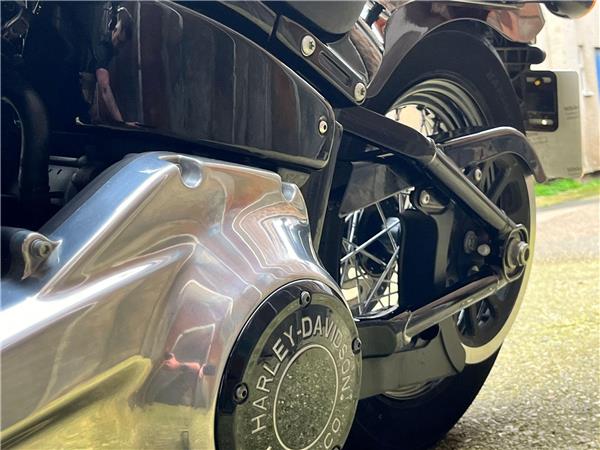 2021 Harley-Davidson Softail