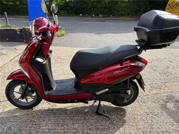  2023 Yamaha D'elight