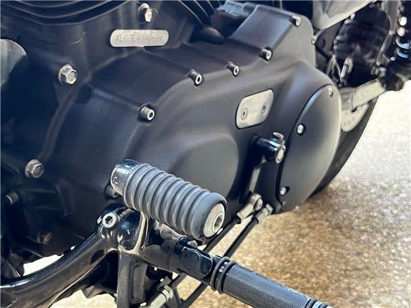 2019 Harley-Davidson Sportster