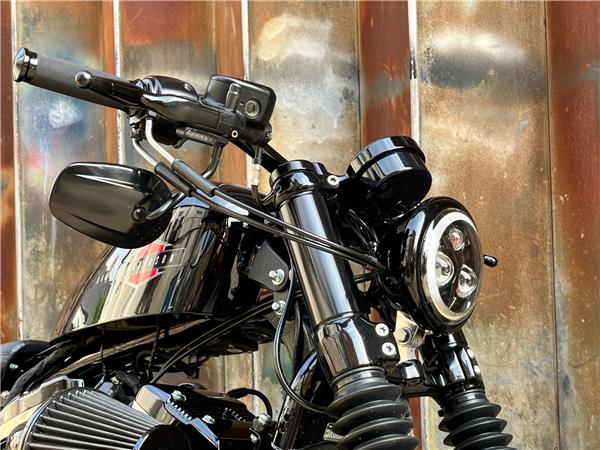 2019 Harley-Davidson Sportster