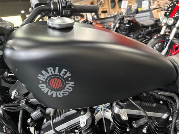 2020 Iron 883