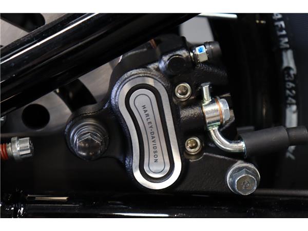 2025 HARLEY-DAVIDSON SOFTAIL FXBB STREET BOB