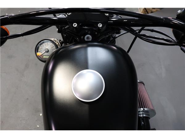 2018 HARLEY-DAVIDSON SPORTSTER XL883N IRON