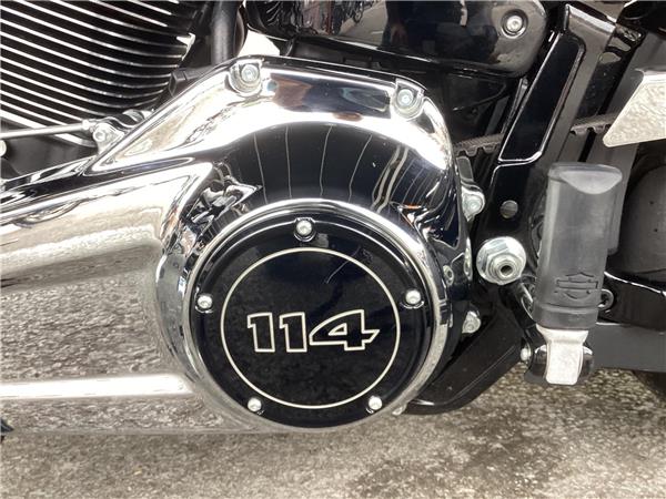 2022 Harley-Davidson Softail