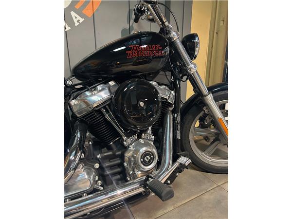 2024 HARLEY-DAVIDSON STANDARD