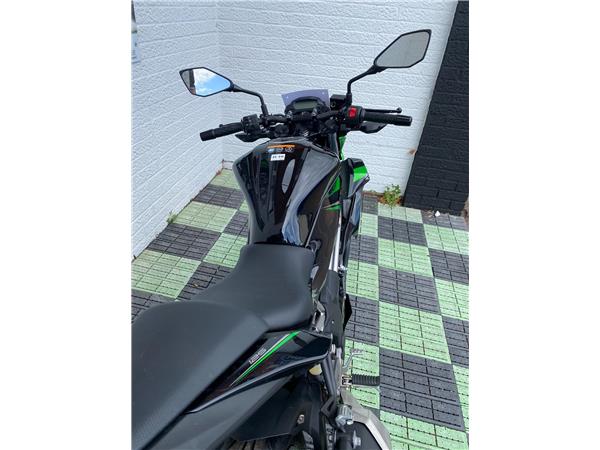 2024 Kawasaki Z125