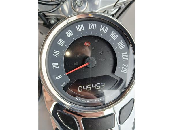 2019 HARLEY-DAVIDSON DELUXE
