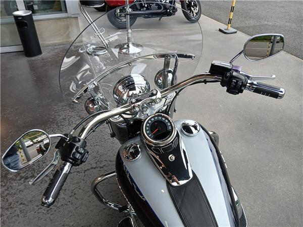 2019 HARLEY-DAVIDSON DELUXE