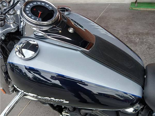 2019 HARLEY-DAVIDSON DELUXE