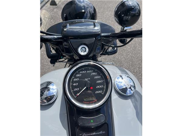 2024 HARLEY-DAVIDSON FREEWHEELER