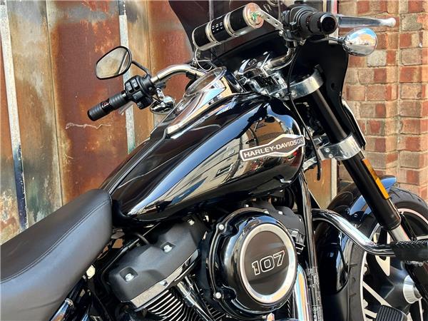 2019 Harley-Davidson Softail