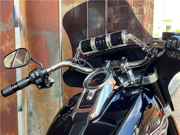2019 Harley-Davidson Softail