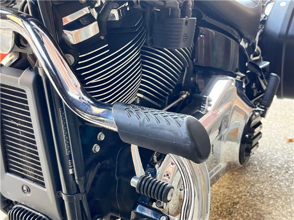 2019 Harley-Davidson Softail