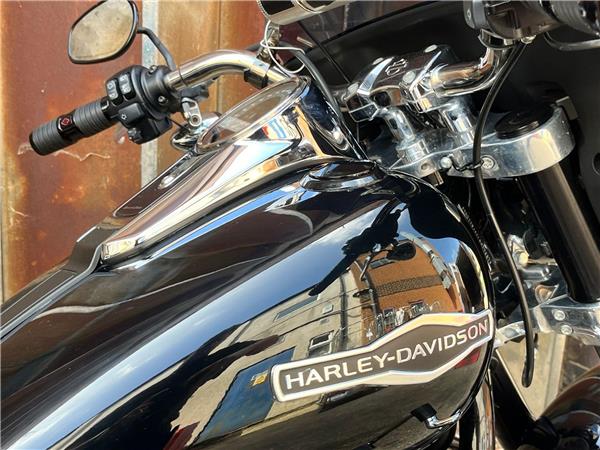 2019 Harley-Davidson Softail