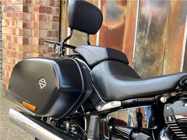2019 Harley-Davidson Softail