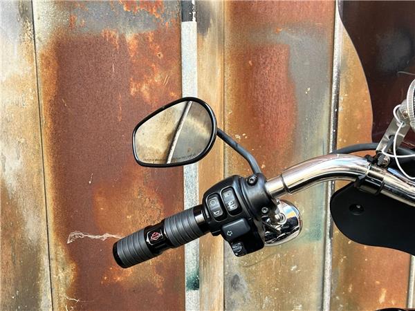 2019 Harley-Davidson Softail
