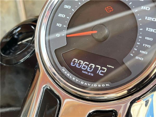 2019 Harley-Davidson Softail