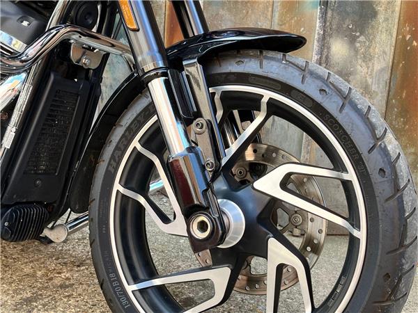2019 Harley-Davidson Softail