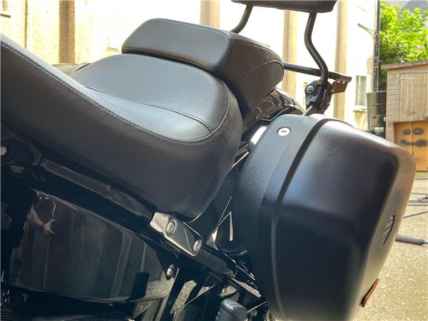2019 Harley-Davidson Softail