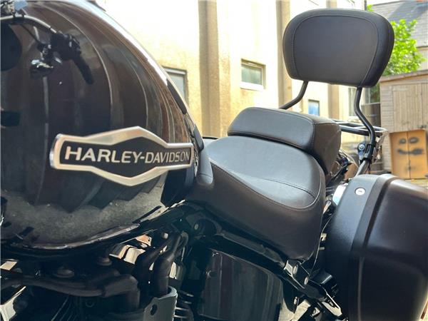 2019 Harley-Davidson Softail