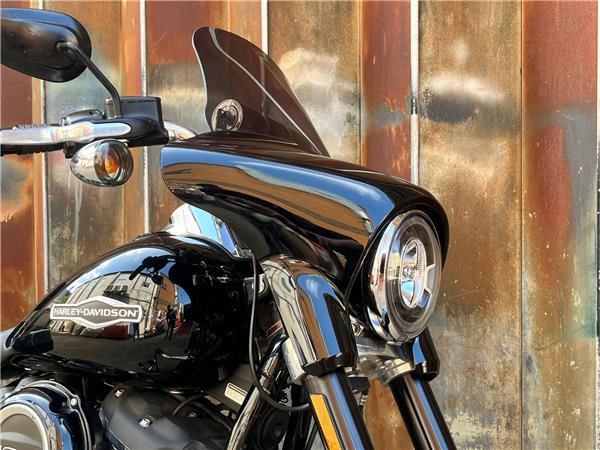 2019 Harley-Davidson Softail
