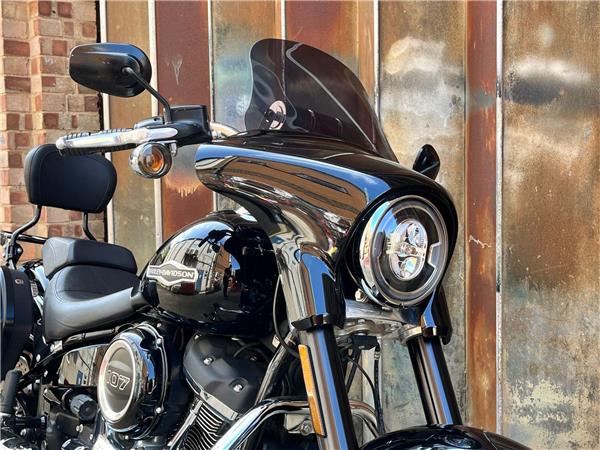 2019 Harley-Davidson Softail
