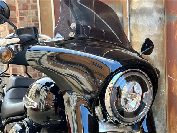 2019 Harley-Davidson Softail