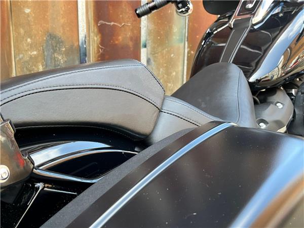 2019 Harley-Davidson Softail