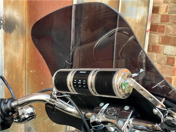 2019 Harley-Davidson Softail