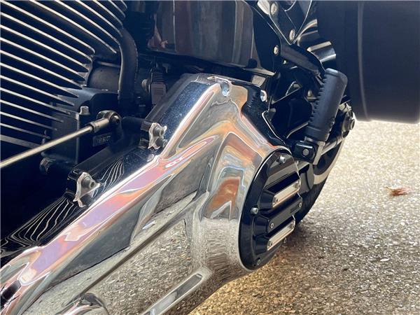 2019 Harley-Davidson Softail
